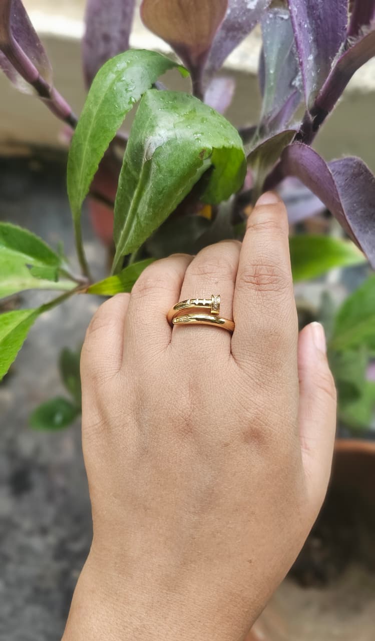 Stainless Steel Nail Ring